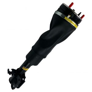 RNB000740 Air Suspension Strut Front Right Replacement For Land Rover Range Rover L322