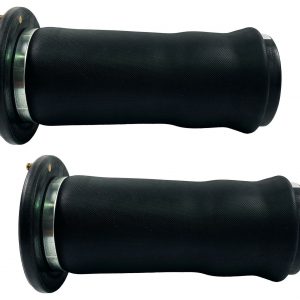 2x Rear Air suspension Spring Bag Strut FOR Land Rover Discovery 2 RKB101200