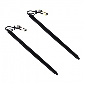 6006611-00-B X2 Rear Gas Struts Set of 2 Left-right Replacement For Tesla Model S