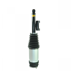 D2P Air Suspension Shock Strut Replacement For Rear Right Side Compatible With 2019 - 2023 Tesla Model X 5YJX Replaces 102706700C